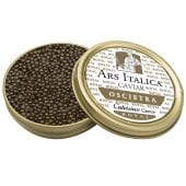 Calvisius: Oscietra Original Royal Caviar 1000g
